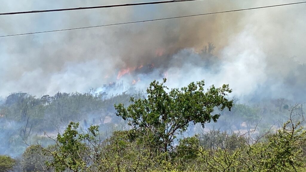 Incendio forestal afecta al sector de Lliu Lliu en Limache y moviliza ...