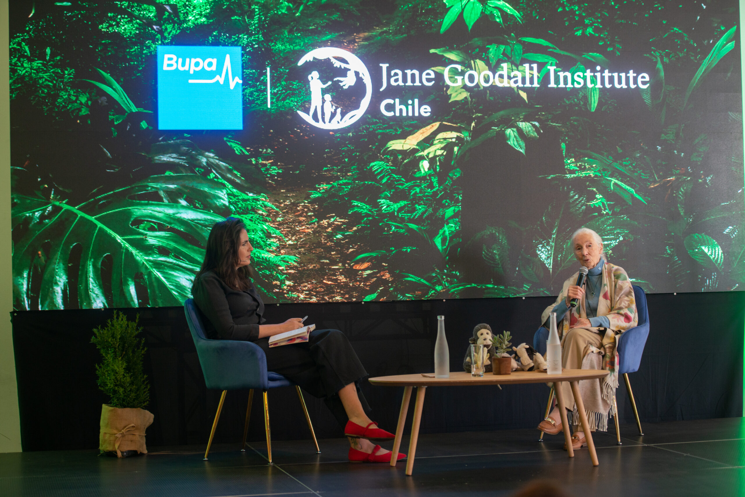 La reconocida etóloga Jane Goodall destacó la importancia de crear ...