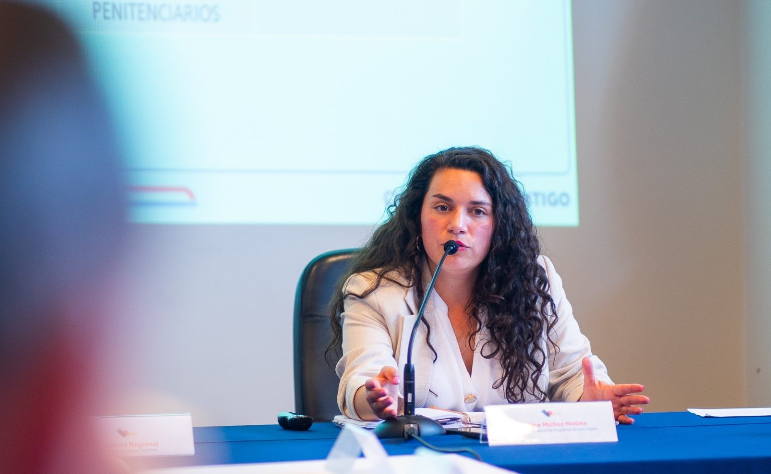 Delegada Paulina Muñoz encabezó primera sesión de 2025 del Consejo