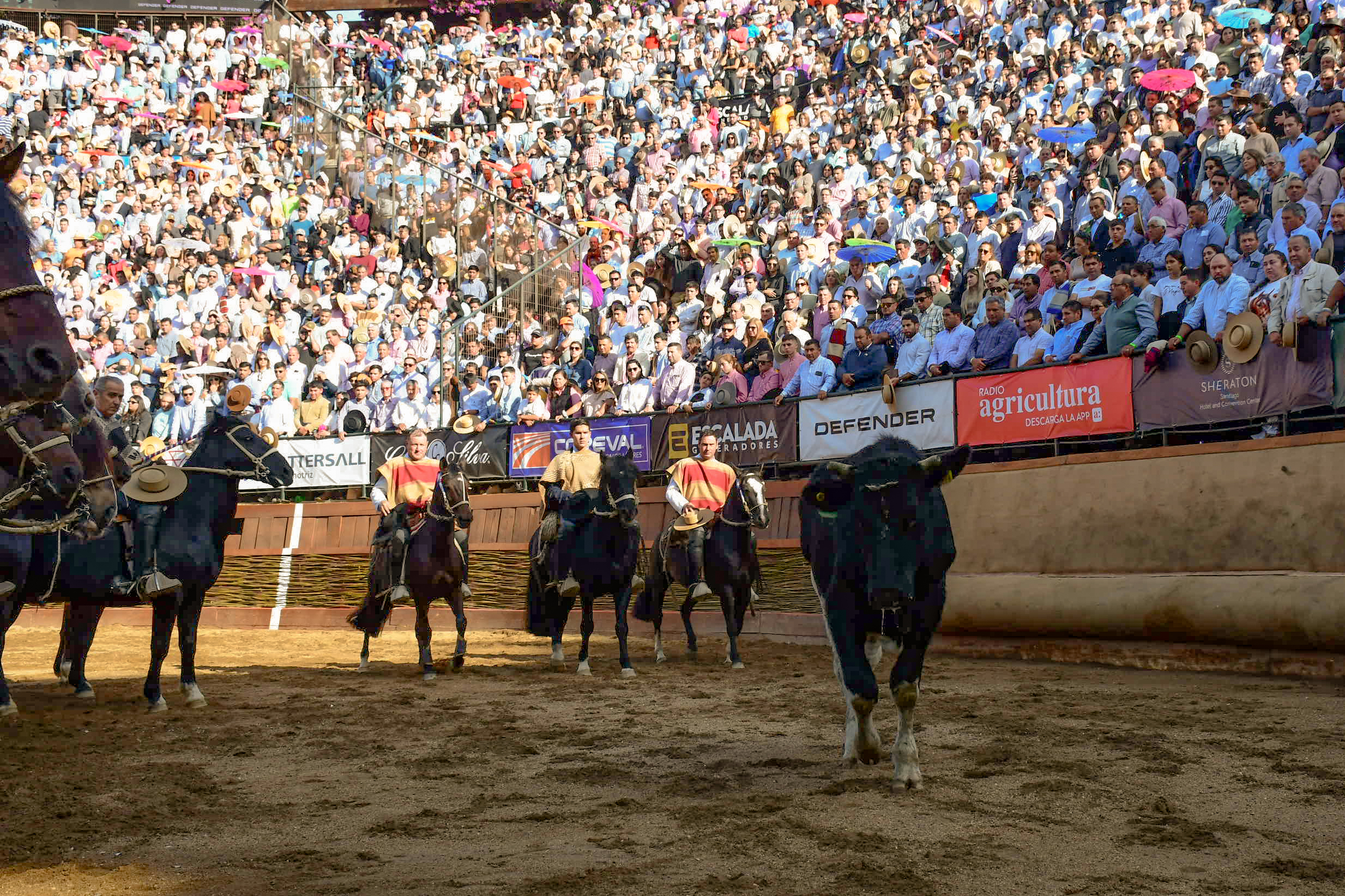 Apoyo solidario del Rodeo Chileno: «Los Huasos corren por Chile ...