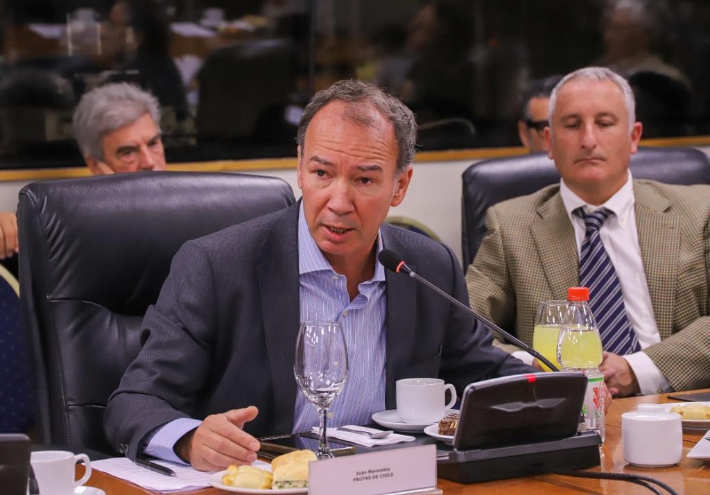 Frutas de Chile participó en sesión extraordinaria de Consejo ...