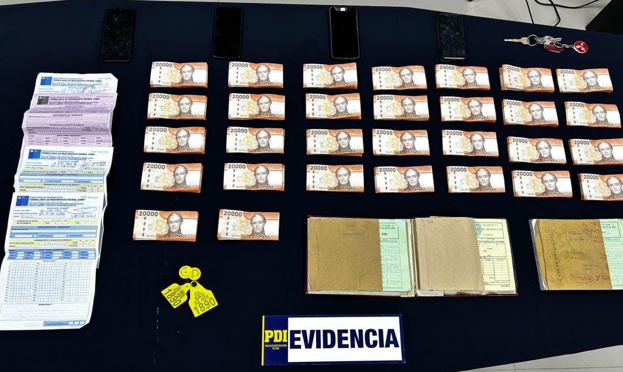 PDI Angol detuvo a un sujeto involucrado en delito de robo en lugar no ...