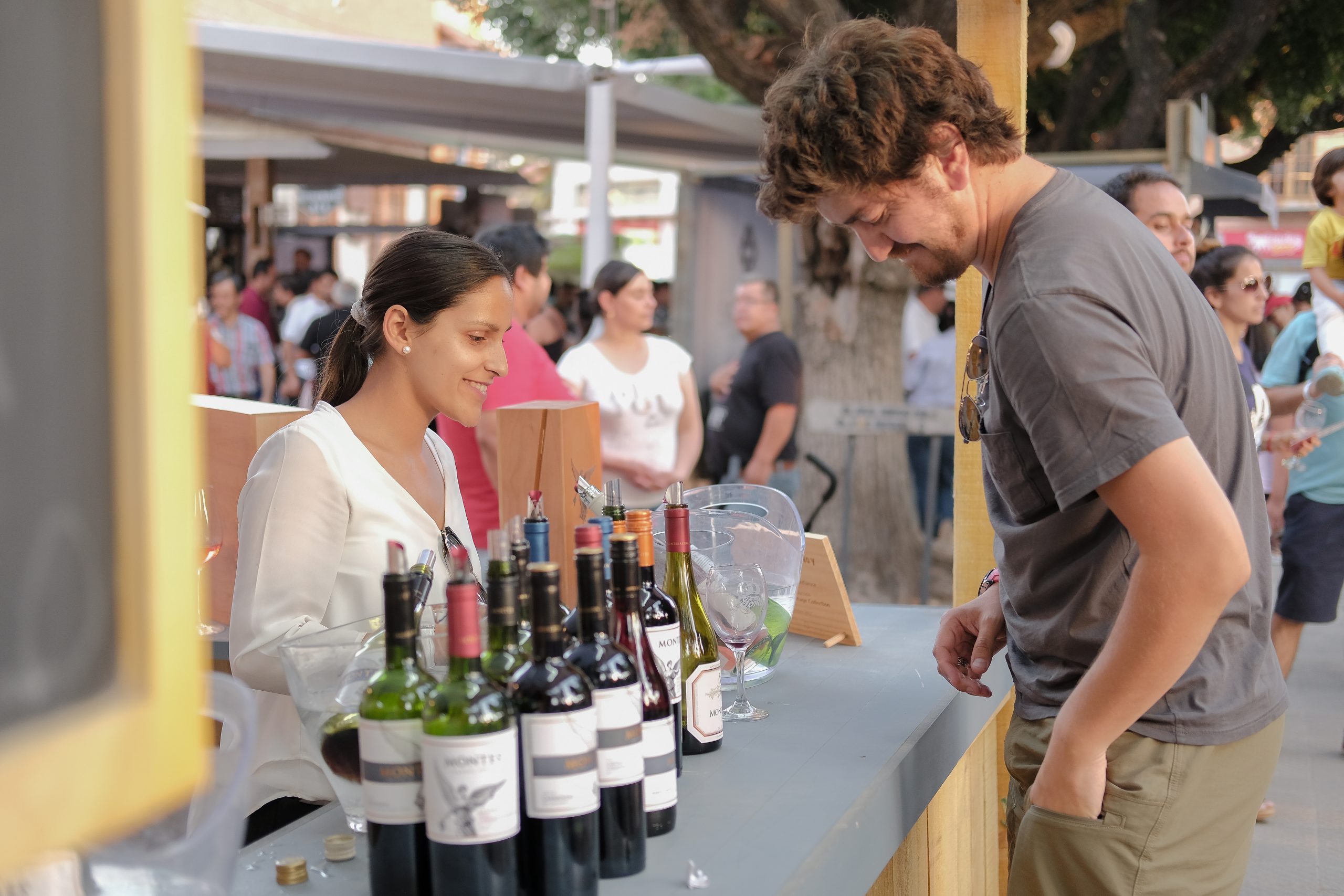 Fiesta de la Vendimia de Colchagua celebra su 26ª edición con experiencias renovadas y los 30 años de la Ruta del Vino – G5noticias