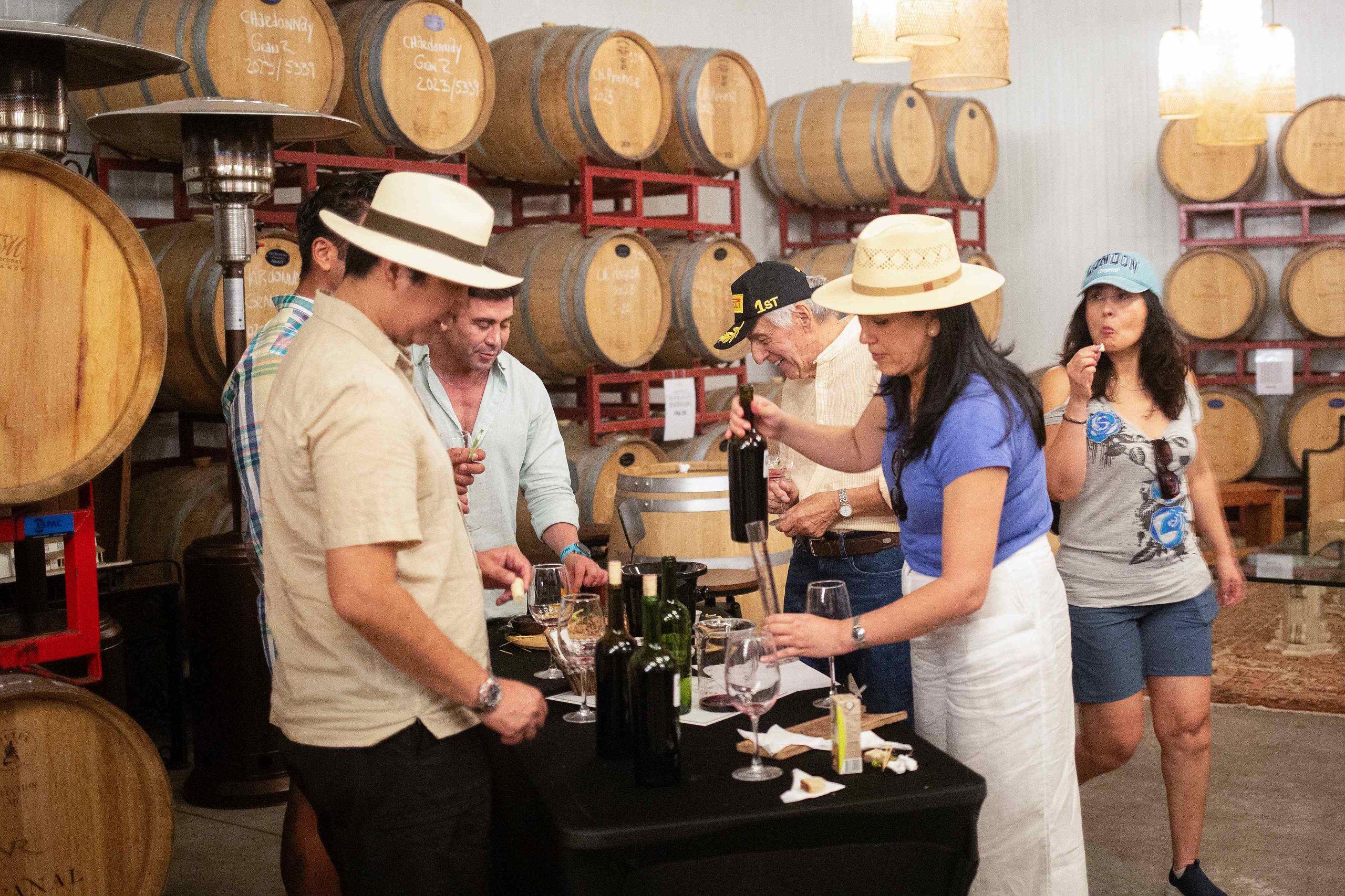 El enoturismo en Chile al alza en el primer trimestre con brasileños y argentinos a la cabeza – G5noticias