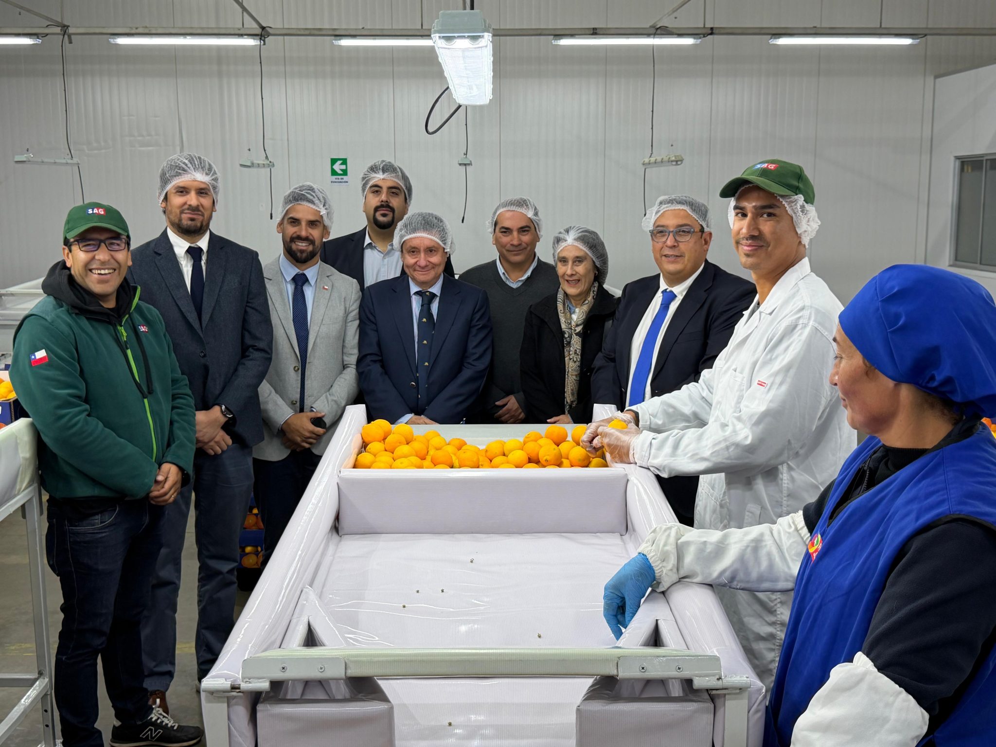 SAG y Frutas de Chile dan inicio en Coquimbo a la temporada de ...