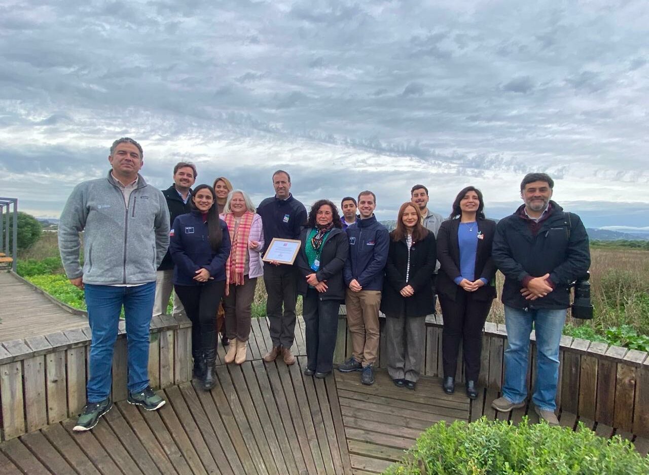 Nueva herramienta ciudadana permite registrar varamientos de fauna marina y fortalecer su protección en Chile