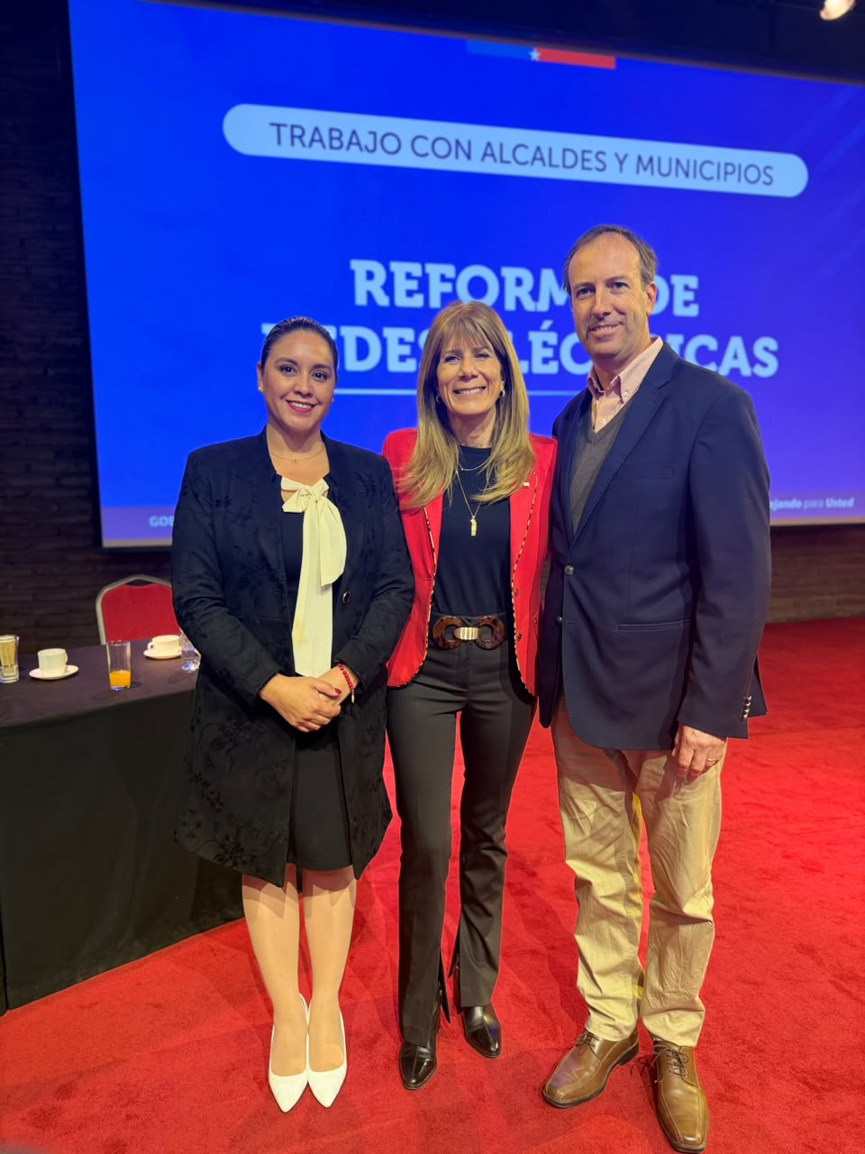 Alcaldes de Cartagena y Santo Domingo participan en encuentro con ministra de Energía por reforma de las redes eléctricas
