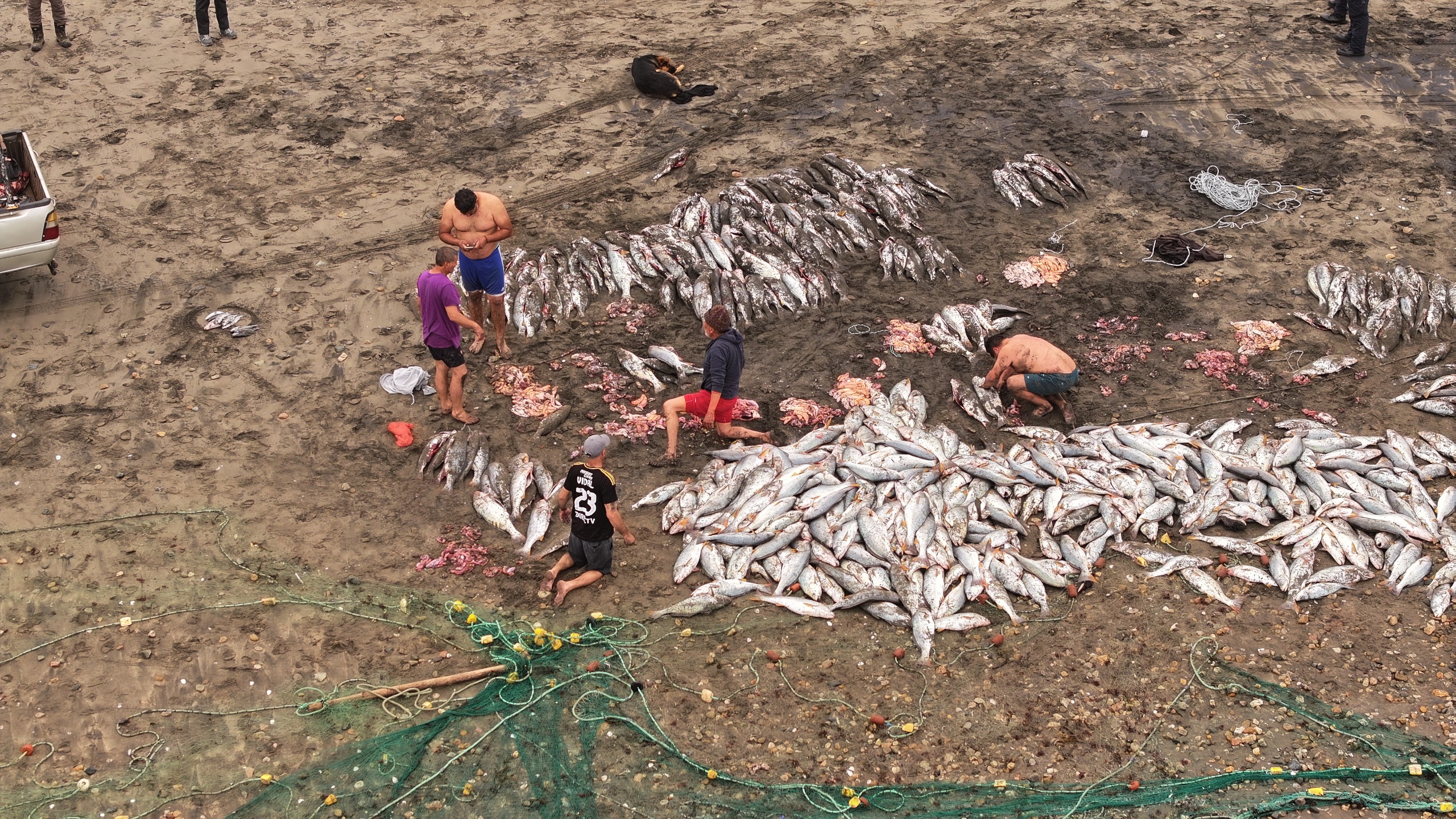 Cartagena: denuncias de vecinos activan fiscalización por ingreso de vehículos a Playa Chica para pesca